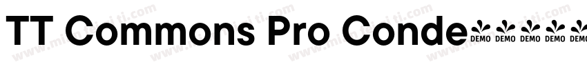 TT Commons Pro Conde字体转换